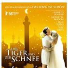 Bilder Der Tiger und der Schnee