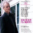 Bilder Broken Flowers