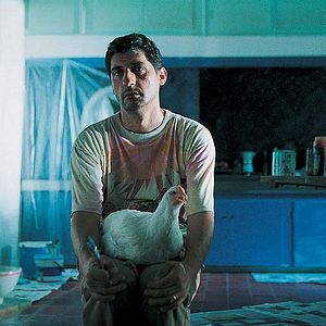 Bilder Agata und der Sturm