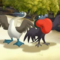 Bilder Der kleine Eisbär 2