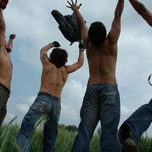 Bilder Rang De Basanti - Die Farbe Safran