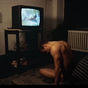 Bilder Der freie Wille