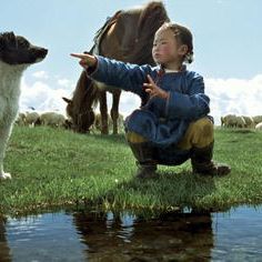 Bilder Die Höhle des gelben Hundes