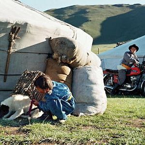 Bilder Die Höhle des gelben Hundes