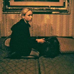 Bilder Lost and Found