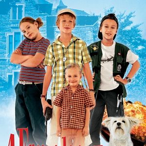 Bilder 4 Freunde und 4 Pfoten