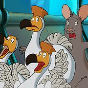 Bilder Felix - Ein Hase auf Weltreise