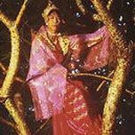 Bilder Friends in High Places