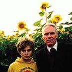 Bilder Happiness Is a Warm Gun