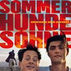 Bilder SommerHundeSöhne