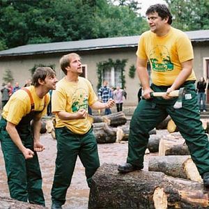 Bilder Die Könige der Nutzholzgewinnung