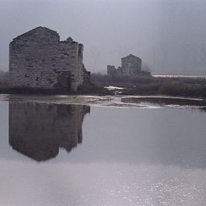 Bilder Stille Sehnsucht - Warchild