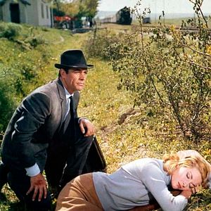 Bilder Daniela Bianchi