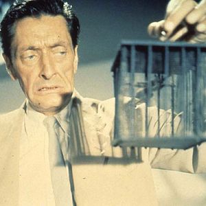 Bilder Anthony Dawson