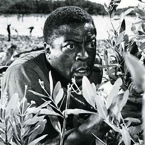 Bilder John Kitzmiller