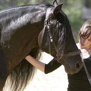 Bilder Mathilde Seigner