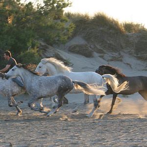 Bilder Valérie Guignabodet