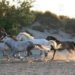 Bilder Valérie Guignabodet