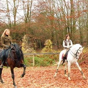 Bilder Mathilde Seigner