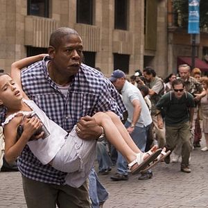 Bilder 8 Blickwinkel