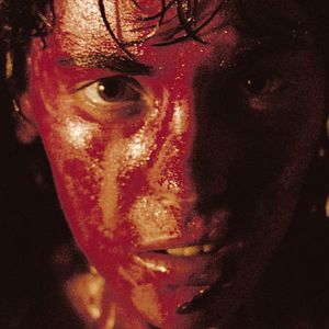 Bilder Alysson Paradis