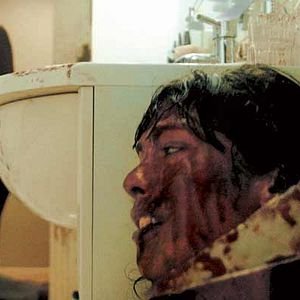 Bilder Alysson Paradis