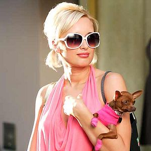 Bilder Aaron Seltzer