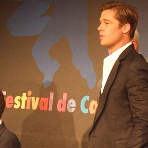 Bilder Brad Pitt