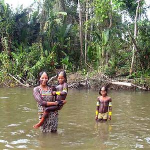 Bilder Der erste Schrei