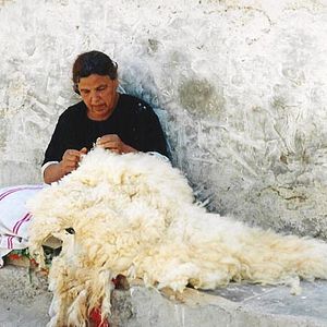 Bilder Néjib Belkadhi