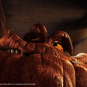 Bilder Guillaume Ivernel