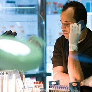 Bilder Oliver Hirschbiegel