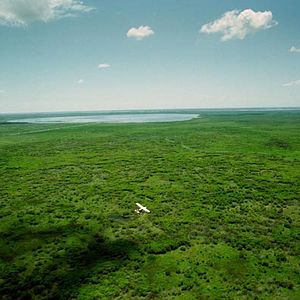 Bilder Greg MacGillivray