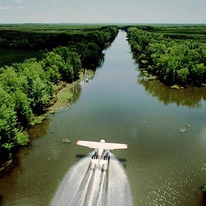 Bilder Greg MacGillivray