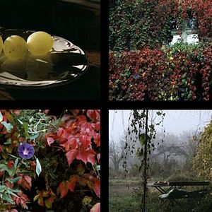 Bilder Jean-Paul Fargier