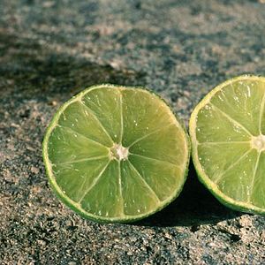 Bilder Jean-Paul Fargier