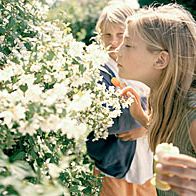 Bilder Die Farbe der Milch