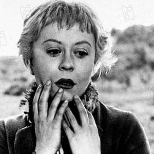 Bilder Das Lied der Straße