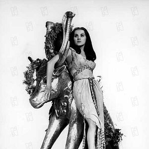 Bilder Debra Paget