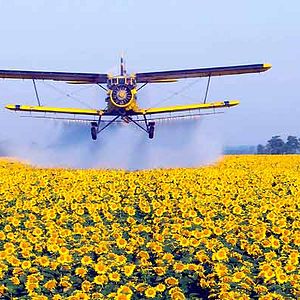 Bilder Unser täglich Brot