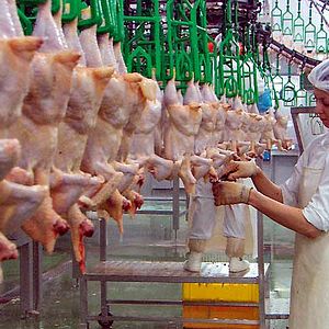 Bilder Unser täglich Brot