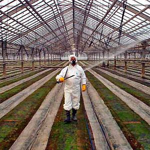 Bilder Unser täglich Brot