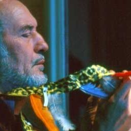 Bilder Viviane Candas