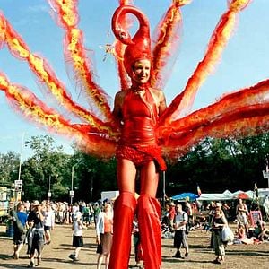 Bilder Julien Temple