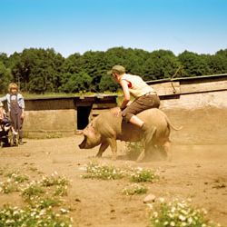Bilder Hände weg von Mississippi