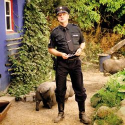 Bilder Hände weg von Mississippi