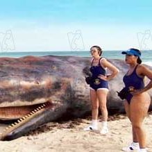 Bilder Robert Ben Garant