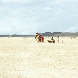 Bilder Marion Hänsel