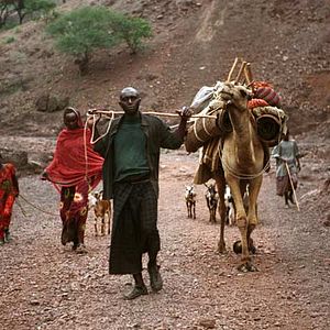 Bilder Marion Hänsel