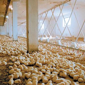 Bilder Erwin Wagenhofer